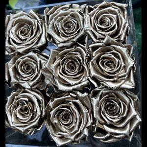 Real dry roses gold color in a square acrylic box long-lasting preserved 9 roses